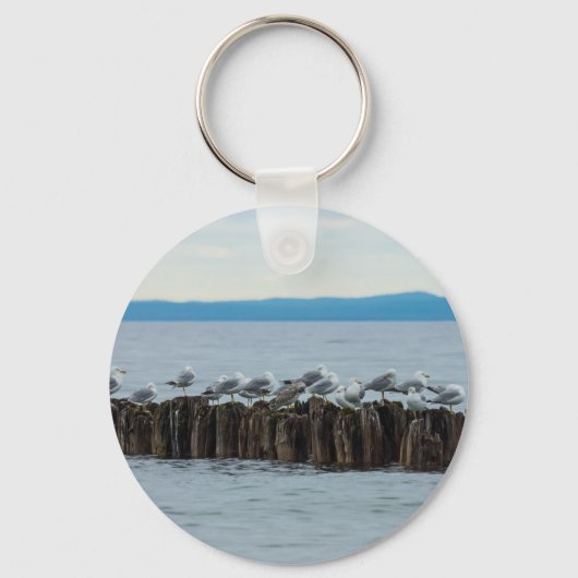 Porte-clés Ventilation de moules (Recto)