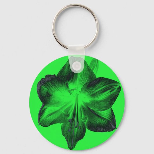 Porte-clés Vert foncé sur vert clair Amaryllis (Recto)