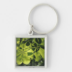 Porte-clés Vert sept feuilles de point avec l'illumination de