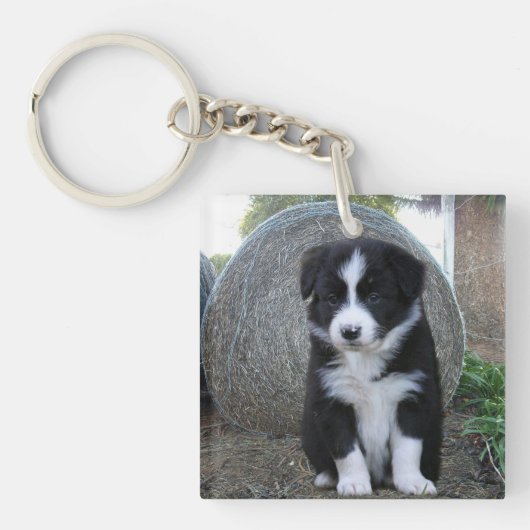 Porte-clés Vie de ferme de chiots Border Collie, (Devant)