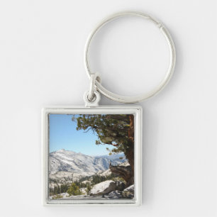 Porte-clés Vieil arbre au parc national de Yosemite