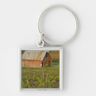 Porte-clés Vieille grange rouge au bord du vignoble de Zinfan
