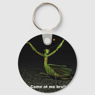 Porte-clés Viens à mon frère Mantis