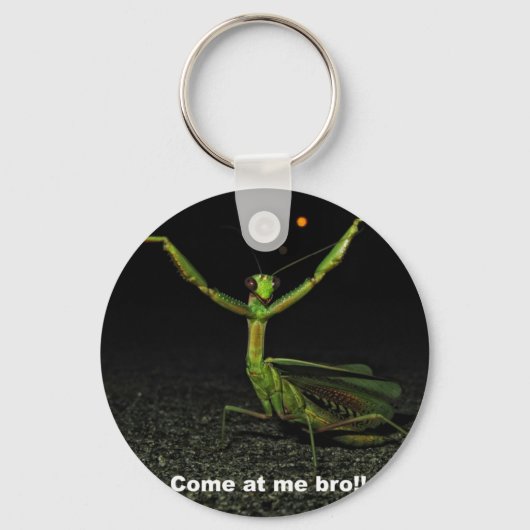 Porte-clés Viens à mon frère Mantis (Recto)