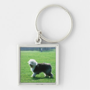 Porte-clés Vieux chien de moutons anglais