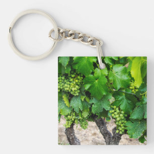 Porte-clés Vignes de raisins de cuve, France