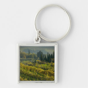 Porte-clés Vignoble, Toscane, Italie