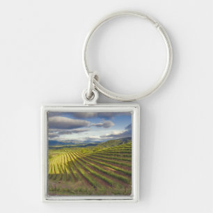 Porte-clés Vignoble. Vallée de Napa. Napa. Comté de Napa,