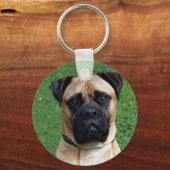 Porte-clés Vinnie Le Porte - clé Bullmastiff (Recto)