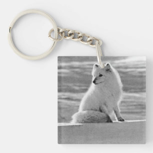 Porte-clés Vintage USA Alaska Arctique renard