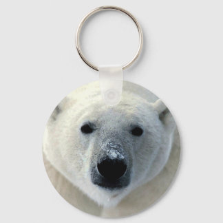 Porte-clés Visage de l'ours polaire