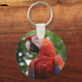 Porte-clés visage macaw (Recto)