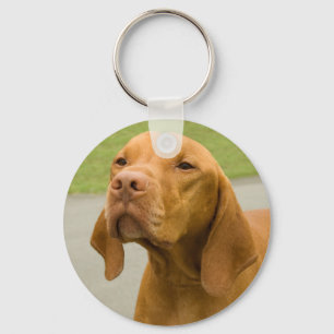 Porte-clés Vizsla