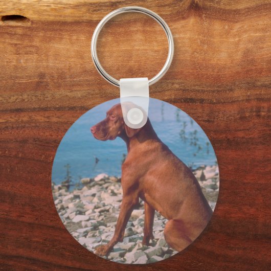 Porte-clés Vizsla (Recto)