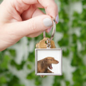 Porte-clés Vizsla baîllant devant l'au sol de dos de blanc (main)