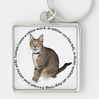 Porte-clés Vœux de chat tigré