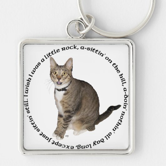 Porte-clés Vœux de chat tigré (Devant)