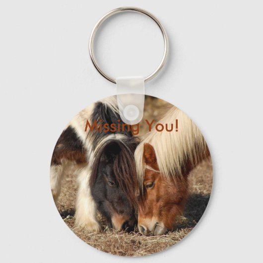 Porte-clés Vous Manquez ! Porte - clé Ponies (Recto)