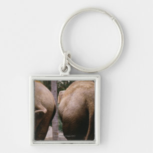 Porte-clés Vue arrière des éléphants asiatiques