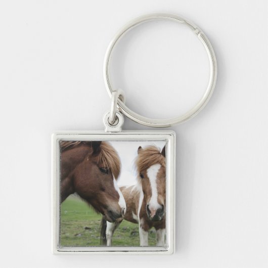 Porte-clés Vue de cheval, plan rapproché (Devant)