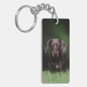 Porte-clés Vue de Dachshund couleur panaché (Devant gauche)