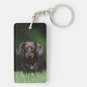 Porte-clés Vue de Dachshund couleur panaché (Dos)