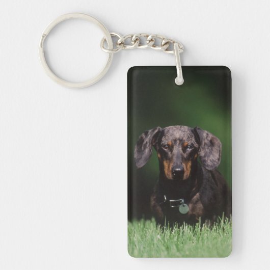 Porte-clés Vue de Dachshund couleur panaché (Devant)