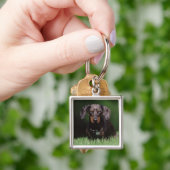 Porte-clés Vue de Dachshund couleur panachée (main)