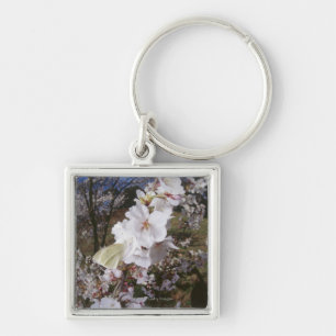 Porte-clés Vue de Fisheye de papillon sur la fleur