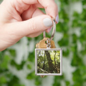 Porte-clés vue de forêt tropicale, Dominique (main)