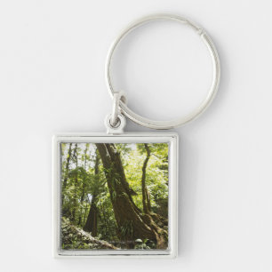 Porte-clés vue de forêt tropicale, Dominique