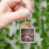 Porte-clés Vue microscopique des bactéries (main)