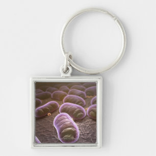 Porte-clés Vue microscopique des bactéries