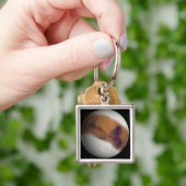 Porte-clés Vue simulée de Mars (main)