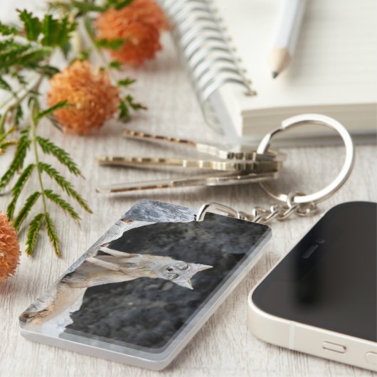 Porte-clés Vulpes corsac (Devant droit)