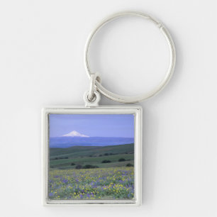 Porte-clés WA, comté de Klickitat, Dalles Mountain Ranch,