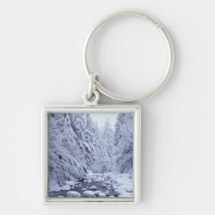 Porte-clés WA, Forêt nationale du Mont Baker-Snoqualmie,