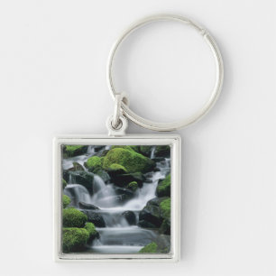 Porte-clés WA, parc national Olympique, vallée de Sol Duc, ru