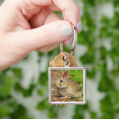 Porte-clés WA, Redmond, lapin bébé à queue blanche (main)