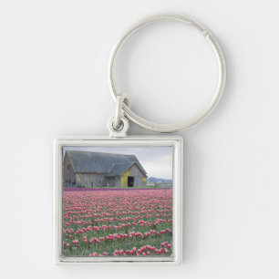 Porte-clés WA, vallée de Skagit, champ de tulipes et grange