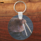 Porte-clés Walrus (Recto)