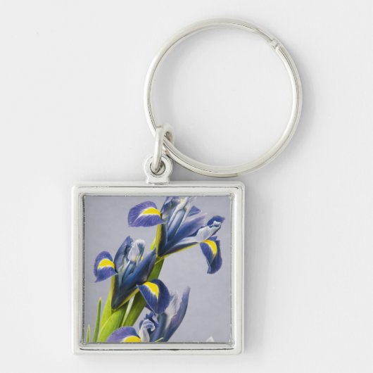 Porte-clés Washington, Redmond, Iris violets (Devant)