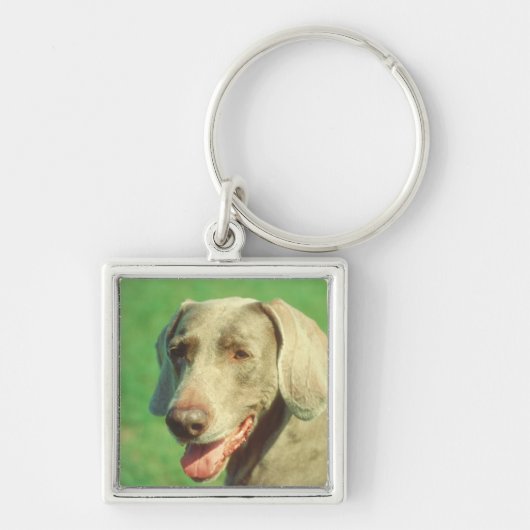 Porte-clés Weimaraner (Devant)