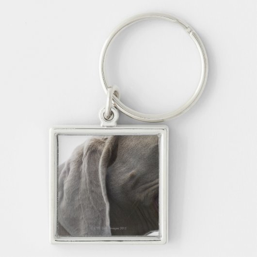 Porte-clés Weimaraner 3 (Devant)