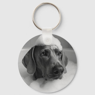 Porte-clés Weimaraner dans le bain avec des bulles sur la têt