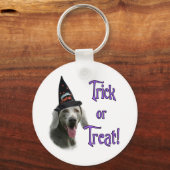 Porte-clés Weimaraner Trick (Recto)