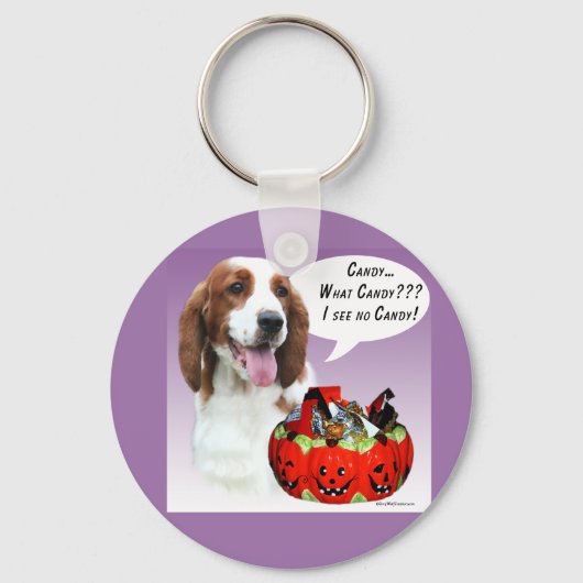 Porte-clés Welsh Springer Spaniel Halloween Candy (Recto)
