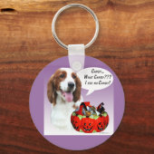 Porte-clés Welsh Springer Spaniel Halloween Candy (Recto)