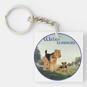 Porte-clés Welsh Terriers