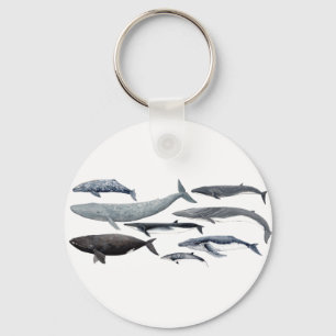 Porte-clés Whales and right whales